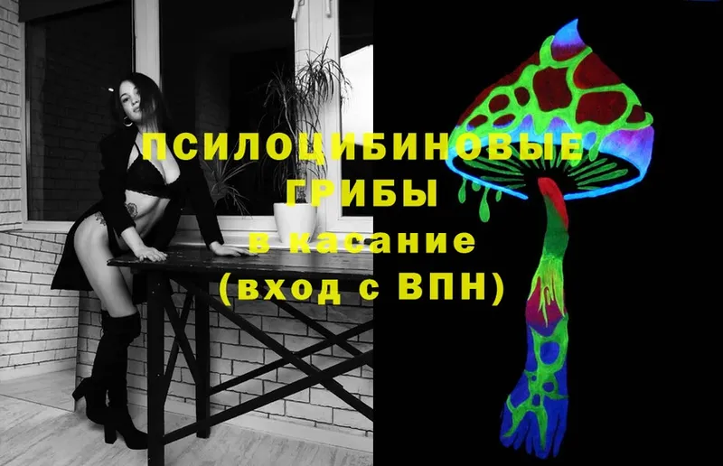 Псилоцибиновые грибы Cubensis  Суоярви 